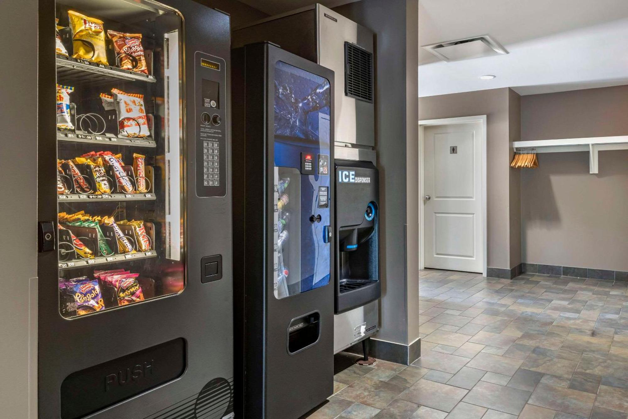 Quality Inn & Suites Quispamsis Rothesay Kültér fotó